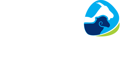 feta logo white
